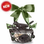 Epic Products Bird's Nest Cork Cage Bottle Ornament Cork Presentation