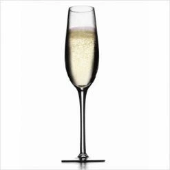 Metrokane Houdini Champagne Glasses (Set Of 4) Metrokane Glassware