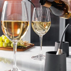 Best reviews of π SkyBar Wine Chill Drops Champagne Buckets/Wine Chillers β 6 SkyBar Wine Chill Drops Champagne Buckets/Wine Chillers