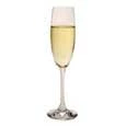 Stolzle Stoelzle Oberglas Champagne Glasses (Set Of 6)