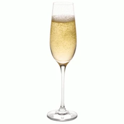 Ravenscroft Crystal Ravenscroft Vintner's Choice Champagne Glasses - Set Of 4