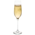 Ravenscroft Crystal Ravenscroft Vintner's Choice Champagne Glasses - Set Of 4