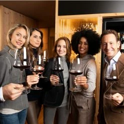 Riedel Winewings Cabernet Sauvignon Wine Glass Riedel Winewings Glasses